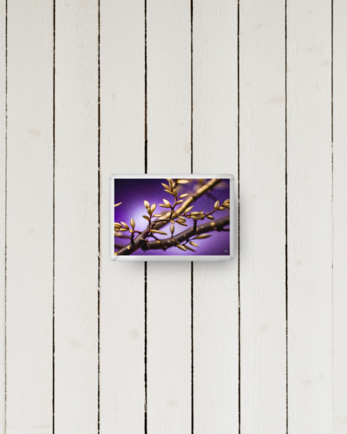 Onegodianology: The 5 Branches: Historical – Custom-shaped pillow