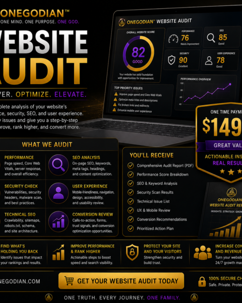 Website Audit